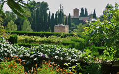 Spain, Granada La Alhambra