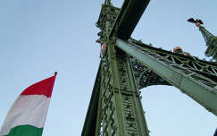 Szabadság híd, Március 15.-én, Budapest