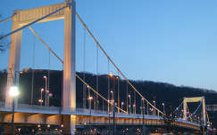 Erzsébet híd, Március 15.-én, Budapest