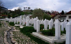 Bosznia, Sarajevo - muszlim háborús temető a központban