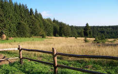 románia kerítés kárpátok erdély mező