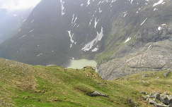 Kőszáli kecskék a Pasterze gleccsernél, Grossglockner, Ausztria