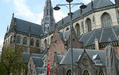 Haarlem Nederland,  Sint Bavo Kerk