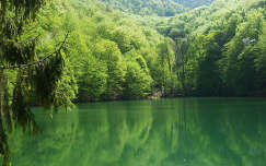 hegy címlapfotó tavasz tükröződés erdő tó