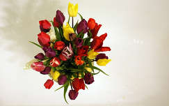 tulipán tavaszi virág virágcsokor és dekoráció