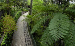 Monte Palace Trópusi kertben, Funchal, Madeira