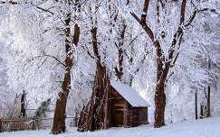 ház kerítés faház fa tél