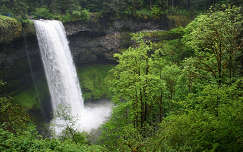 Silver Falls, State Park, USA