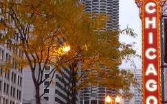 usa chicago felhőkarcoló fa ősz