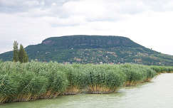 hegy balaton nád tó badacsony magyarország nyár