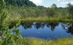 Erdély-Szent Anna tó- Mohos tőzegláp