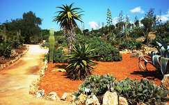 Botanikus kert Mallorca