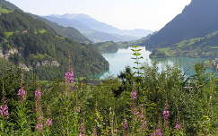 Lungerni tó, Svájc