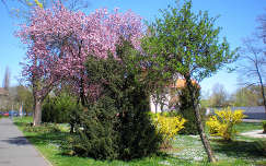 Tavasz - Debrecen