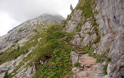 Berchtesgadeni Alpok - A Watzmannhaus felé