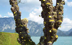 szobor fa hegy tó