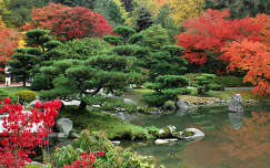 Japánkert őszi színekben