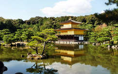 tó címlapfotó kinkakuji templom kiotó fenyő japán tükröződés fa kertek és parkok ősz világörökség