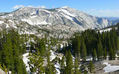 USA,California,Yosemite N.P.