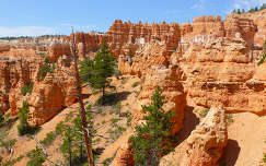 USA,Utah,Bryce Canyon
