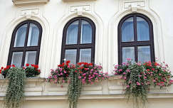 ablakok, virágokkal
