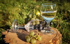 gyümölcs bor szőlő ital ősz