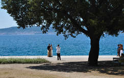 Zadar, esküvő, Horvátország