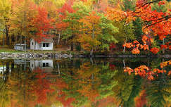 ház faház címlapfotó ősz tükröződés erdő tó