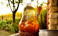 címlapfotó ital barack ősz gyümölcs