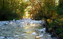 címlapfotó ősz kövek és sziklák patak erdő