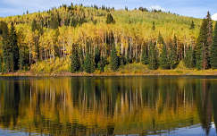 ősz erdő tó tükröződés