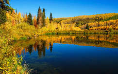 címlapfotó ősz tükröződés erdő tó