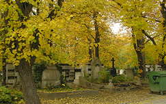 Budapest,Farkasréti temető őszi színekben