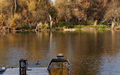 stég és móló mártély csónak ősz folyó magyarország