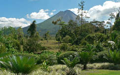 La Fortuna Volcán Arenal