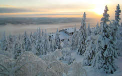 ház napfelkelte fenyő fa erdő tél