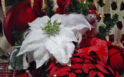 karácsony karácsonyi dekoráció mikulásvirág