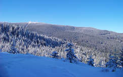 románia hegy kárpátok erdély erdő tél