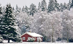 ház címlapfotó tél fa faház fenyő