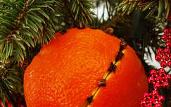 karácsony gyümölcs narancs