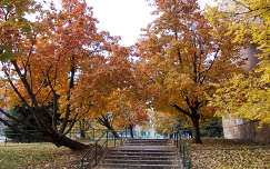 az ősz színei