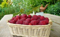málna címlapfotó gyümölcs gyümölcskosár