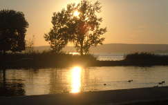napfelkelte balaton fa tó magyarország