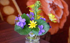 gólyahír tavaszi virág ibolya virágcsokor és dekoráció vadvirág
