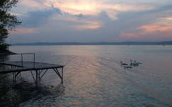 napfelkelte hattyú balaton stég és móló vizimadár tó magyarország