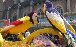 Haarlem  Holland, Flowerfestival