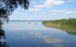 balaton tó magyarország stég és móló