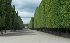 Schönbrunni kastély parkja a hosszú fasorral, Bécs