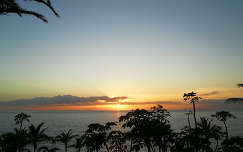 naplemente pálma tenger