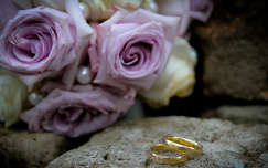 Esküvői rózsák karikagyűrűvel...